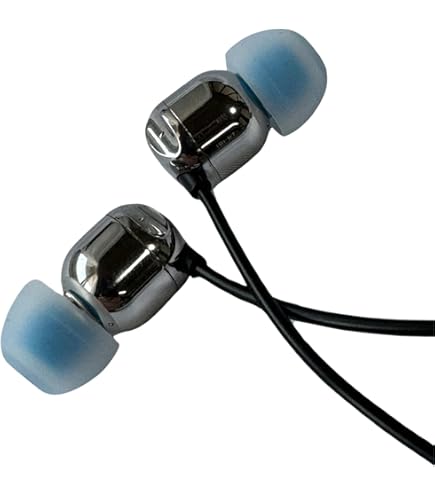 Amazon.co.jp: 【e☆イヤホン限定】intime 翔DD The Head for